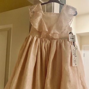 3T champagne/pink dress